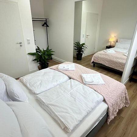 Das Loft - Sauna - 4 Schlafzimmer - 2 Baeder - Stadtmitte - 2 Parkplaetze Speyer Exterior photo